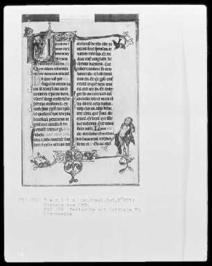 Missale aus Prüm — ---, Folio 202rectoBuchseite