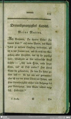 Dreiundzwanzigstes Kapitel. Meine Mutter