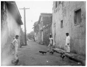 Manila/ Philippinen: Straßenszene mit Hahnenkampf