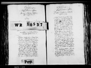 Abt, Prior und Konvent von Hirsau leihen Aberlin Wild von Ditzingen und seiner Frau Ellin, Heinz Aigners Tochter, ihre Widem daselbst, doch ohne Haus, Hofraite und Garten, zu einem Erblehen. .