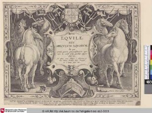 Equile, seu speculum equorum