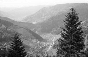 Wildgutach: Blick von der schönen Aussicht ins Tal mit Wildgutach