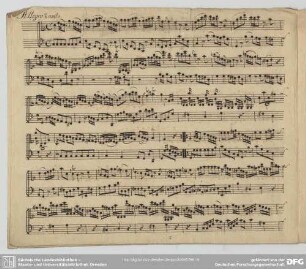 [2.] Allegro non molto