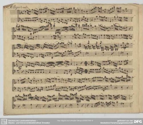 [2.] Allegro non molto