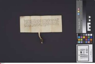 Babenhausen: Graf Ulrich zu Hanau gibt der Stadt Babenhausen den Stadtgraben und die Laiche nebst der Fischerei.