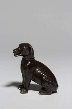 Hund