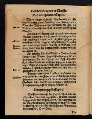 Das zwentzigste Capitel.