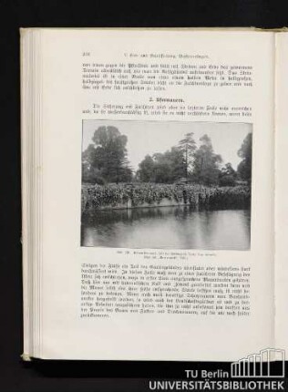 2. Ufermauern.