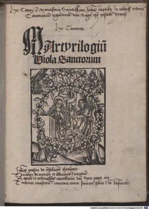 Martyrilogiu[m] Viola Sanctorum
