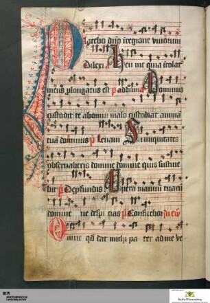Fragment