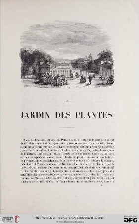 Le jardin des plantes