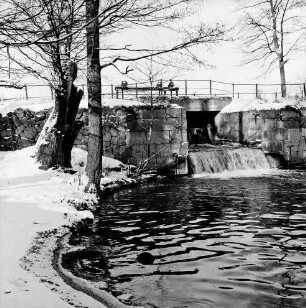 Mühlenteich: Wehr mit Überlauf: vorn links und hinten rechts Bäume: Winter