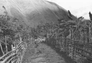 Am Rio Paez (Lateinamerika-Aufenthalte 1934/1942 – 2. Kolumbien 1934-1937)