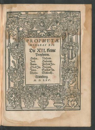 Prophetae Minores XII. Die XII. kleine Propheten.