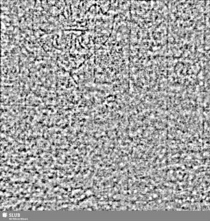 Lilienschild + IESV / LW = S.16/17