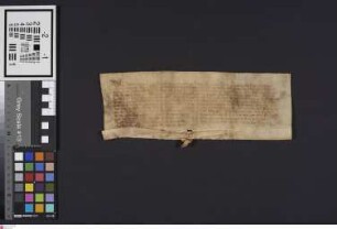 Wimpfen: Konrad v. Neipperg, Prior, und der Konvent des Dominikanerklosters Wimpfen [... Urkunde stark verblaßt, in großen Teilen nicht lesbar]