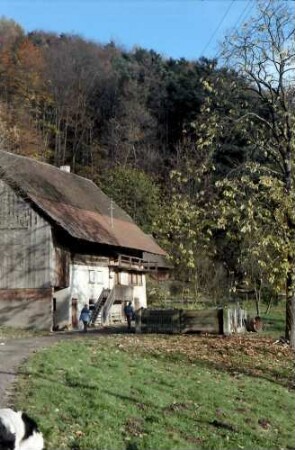 Wittental: Alter Schwarzwaldhof