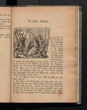 Die wilden Schwäne.