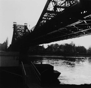 Die Loschwitzbrücke ("Blaues Wunder") vom Loschwitzer Ufer aus gesehen
