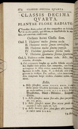 Classis Decima Quarta. Plantae Flore Radiato.