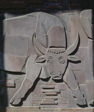Stier