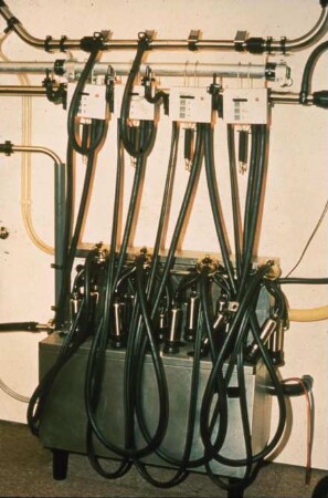 Fotografie: Melktechnik, Rohrmelkanlage, Melkzeug, Reinigungstechnik