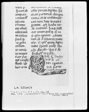 Bernardus, Sermones in Contica Canticorum — Initiale Q(uid ergo dei ignorantia), Folio 138verso