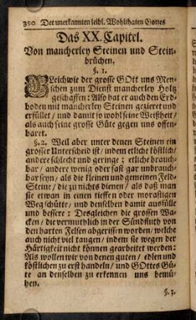 390-407, Das XX. Capitel.