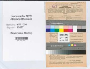 Entnazifizierung Hedwig Brockmann, geb. 27.01.1914 (Kaufm.Angest.)