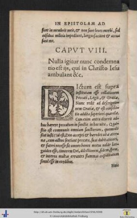 In epistolam ad Rom. Cap. VIII.