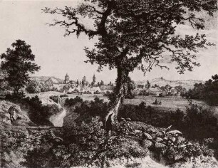Ansichten Karlsruher Gebäude, Bauwerke und Denkmäler. Stadtansicht Karlsruhe
