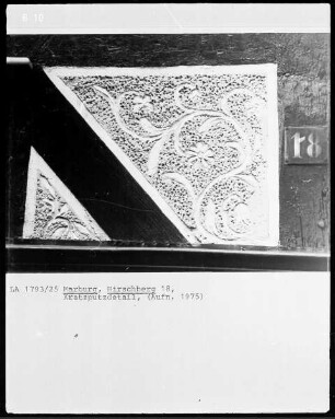 Pflanzliche Ornamente
