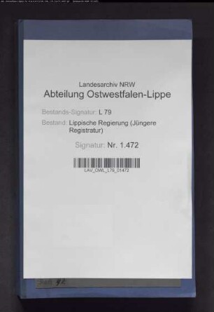 Gewerbliche Abgaben in der Stadt Detmold, Band 2