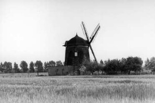 Thallwitz-Canitz. Blick zum Turmholländer