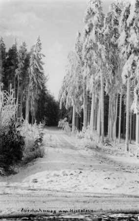 Auerhahnweg im Winter