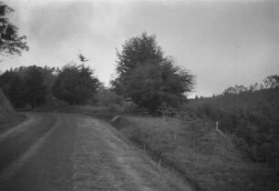 Am Wege Pasuruan-Tosari : Landstraße in einer Landschaft