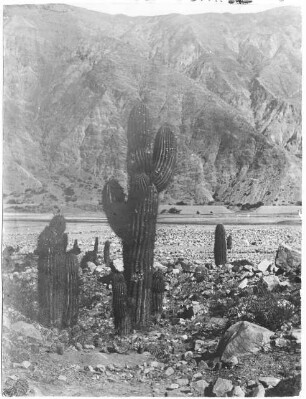 Quebrada del Toro