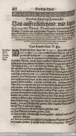 Der Erste Theil des Feuerwercks/
