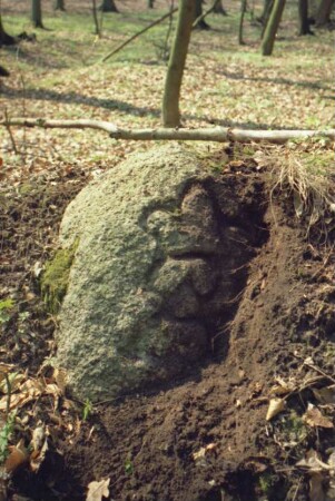 Oering (Kreis Segeberg): sogenannter Russenstein von 1618: Vorderseite