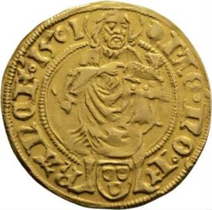 Münze, Goldgulden, 1501