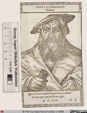 Bildnis Janus Cornarus (Cornarius) (eig. Johann Hagenbut, Hanbut od. Haynpol)