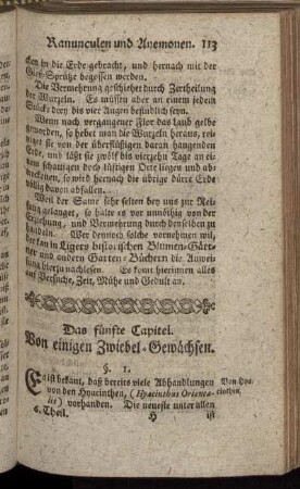 Das fünfte Capitel. Von einigen Zwiebel-Gewächsen.
