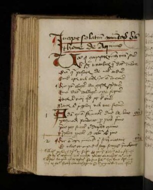 Versus. Incipit solatium minutorum beati Thome de Aquino