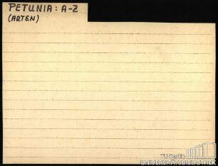 PETUNIA/PETUNIEN: Allgemein; Arten