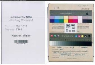 Entnazifizierung Walter Haesner , geb. 16.05.1893 (Volksschullehrer)