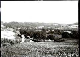 Blick auf das Ossatal in Roggenhausen von Westen