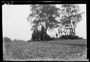 Litauischer Friedhof bei Bugailischki (Bugailiškiai, Litauen)