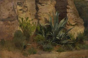Studie einer Agave, Yucca, eines Feigenkaktus und Ginsters, an der Stadtmauer in Rom