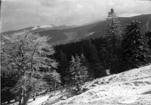 Halde beim Schauinsland: Wald und Durchblick auf den Feldberg