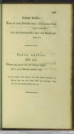 Brutus Knabe